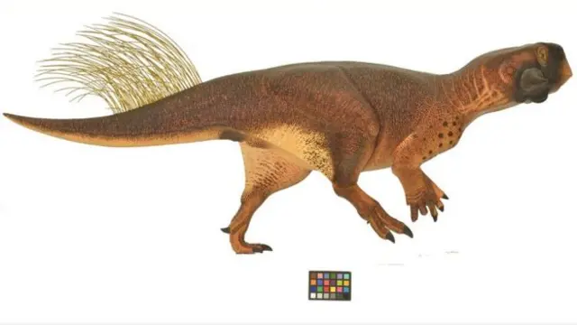 اس ماڈل سے ظاہر ہوتا ہے کہ اس ڈائنوسار کو اپنی جلد کے نمونے کی وجہ سے شکاری جانوروں سے بچنے میں کیسے مدد ملتی ہو گی