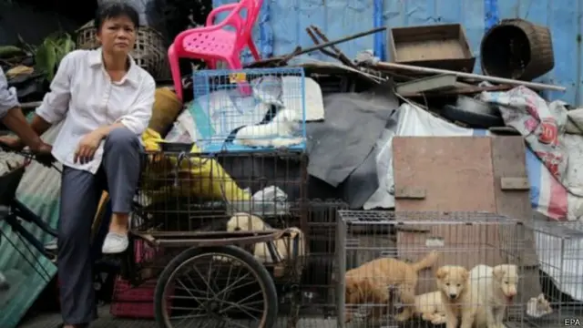 有網民看過小狗領養片段後留言:「何否不要吃狗肉?」 