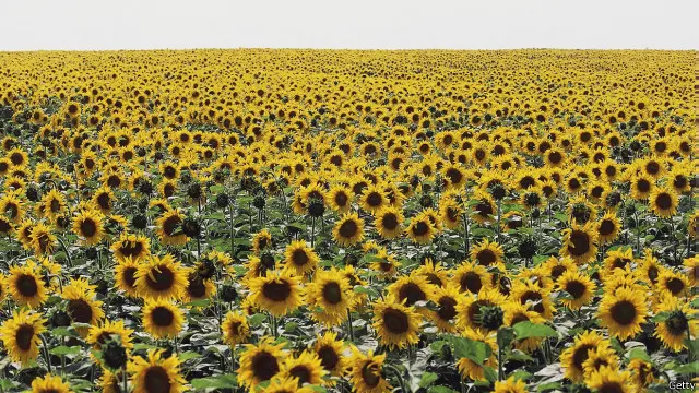 Air mineral dapat diperoleh secara cuma-cuma di banyak sumber air di Slovakia.