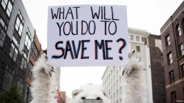 Pandangan terhadap perubahan iklim cenderung dipengaruhi oleh ideologi politik, tanpa memperhatikan pendidikan ilmiahnya.