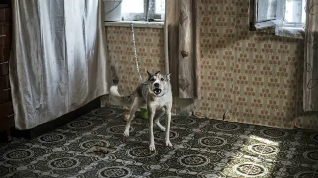 يبذل السكان قصارى جهدهم لتحسين المبنى وجعل غرفه مريحة، ويستخدمون مخلفات ورق الحائط والأرضيات في المناطق المجاورة لتحويل الغرف الخرسانية إلى منزل نظيف.