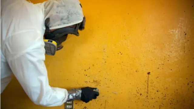 Mexico blood cleaner