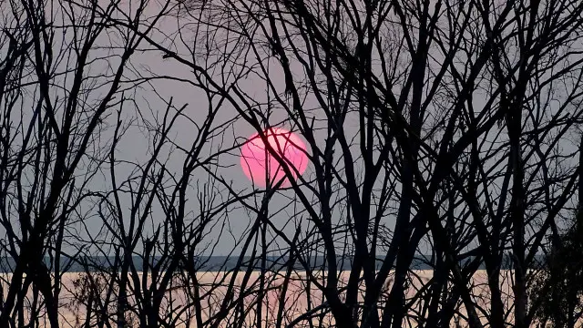 Світанок у Африці, ПАР