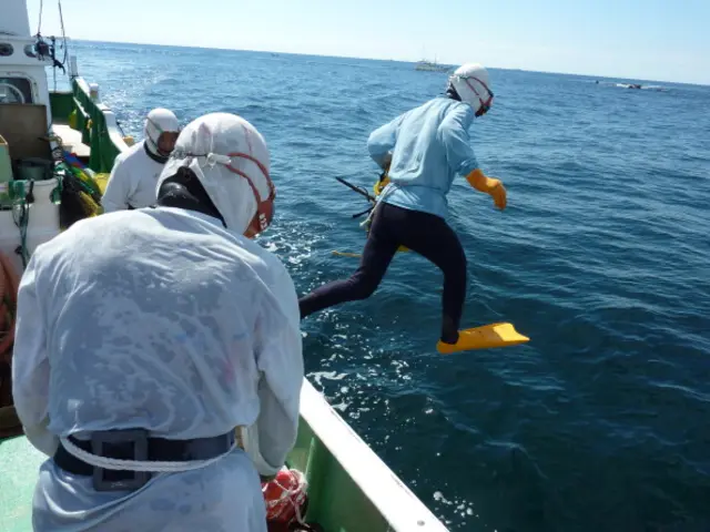 一名海女潜入日本三重县志摩市的沿海（图片来源： Getty Images ）