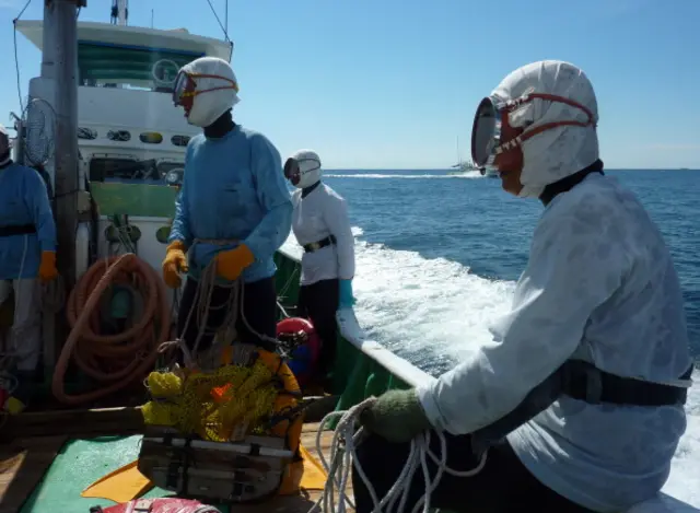 海女捕捞海产的方式在日本一些地区已经流传了数千年（图片来源： Getty Images）
