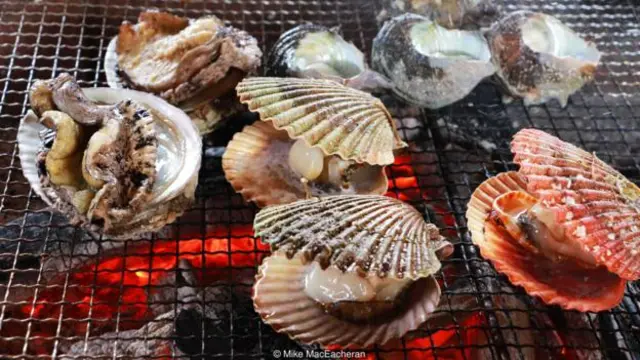 过去海女可以收获大量的贝类，如今她们是商业捕捞的受害者（图片来源： Mike MacEacheran）