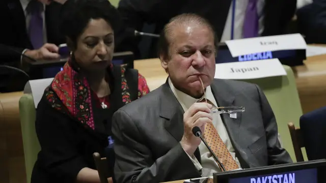 د پاکستان لومړي وزير نواز شريف نيوکه کړې چې نړۍ د جنوبي اسيا ستونزې له پامه غورځوي.