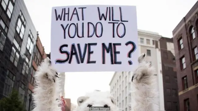 对气候变化的观点容易受到政治意识形态的影响，不论受科学教育的水平如何（图片来源：Getty Images）