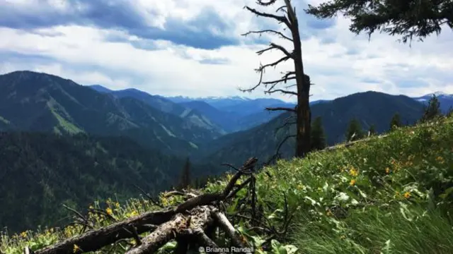 愛達荷州弗蘭克·丘奇荒野一瞥，位於帕拉代斯南部（圖片來源：Brianna Randall）
