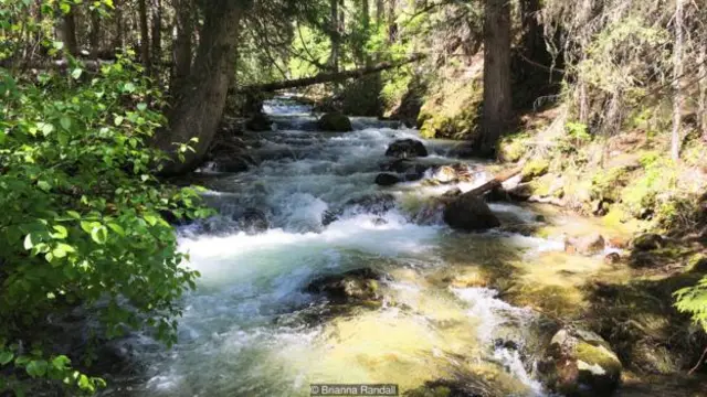 帕拉代斯的水道並不適合沒有經驗的旅行者，不過能看到這樣的景緻，一切都值了（圖片來源：Brianna Randall）