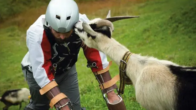 Чоловік спробував пожити козлом