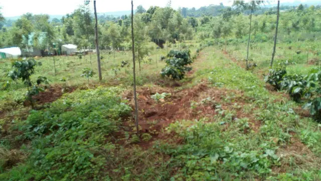 တဆင့် ပြန်လည်ရောင်းချ မှုတွေကြောင့် ရှုပ်ထွေး မှုတွေ ရှိနေ