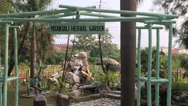 पतंजलिको मुख्यालय नजिकै एउटा आयुर्वेद उद्यान बनाइएको छ