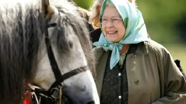 ضياع الملكة من كبار المستفيدين