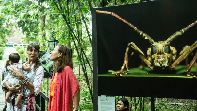 Para pengunjung akan disuguhi foto-foto aneka satwa di sepanjang jalan.