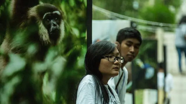 Anak-anak sekolah diberi pengetahuan tentang dampak kebakaran hutan dan lahan terhadap para satwa penghuni hutan.