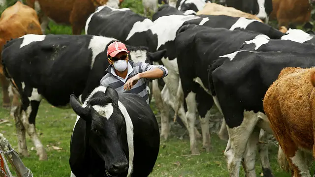 الحليب غير المبستر أحد أكثر مصادر العدوى شيوعا