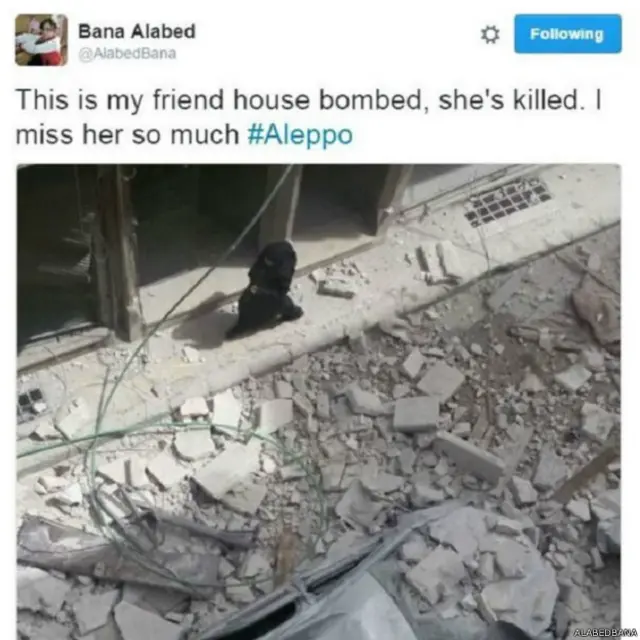 Tweet của Bana Alabed