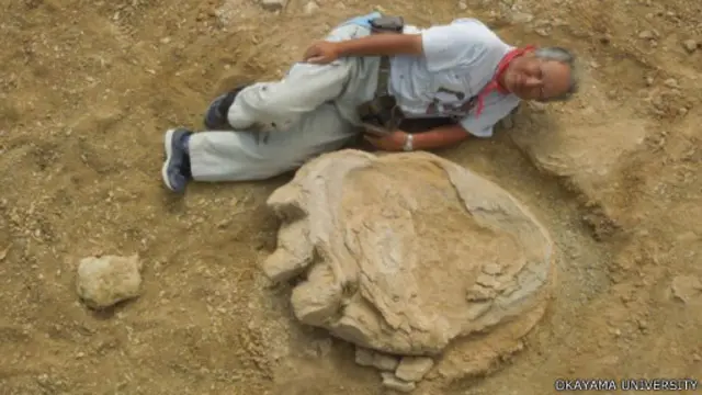 泰坦巨龙的脚印长度有一米。