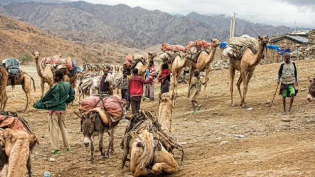 阿法部落在这片干旱的土地上生活了几个世纪（图片来源：Dave Stamboulis）