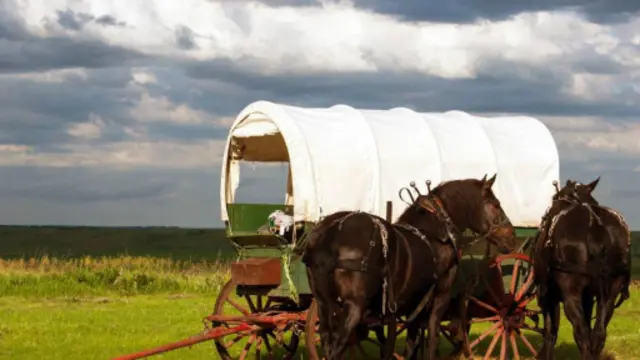 马匹、马车（图片来源：Fran Hailey）