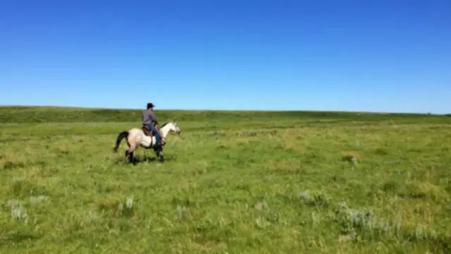 探险者可以沿途观赏北达科他州标志性的风景（图片来源：Rory Boland）