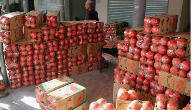 د کندهار په ارغنداب او خاکريز ولسواليو کې د انارو ډېر باغونه شته.