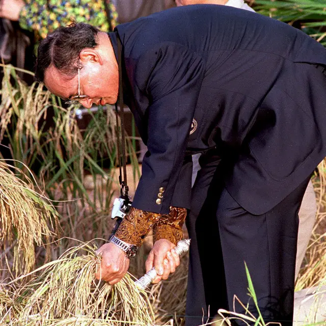 اهتم أدولياديج بالأنشطة الزراعية