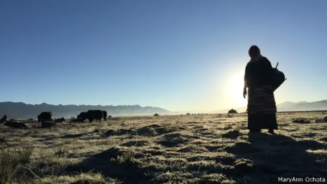 海拔4300米，夜間氣溫仍在零度以下