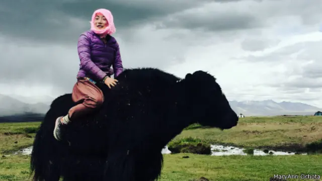 索納姆親自養大的犛牛，除了她本人，誰也不讓騎