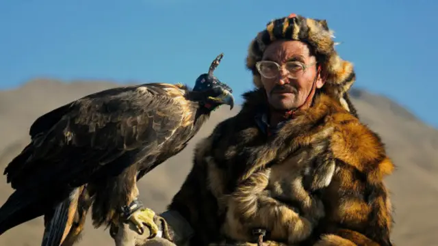 為鷹戴上眼罩是為了讓它們平靜下來(圖片來源:Dave Stamboulis)