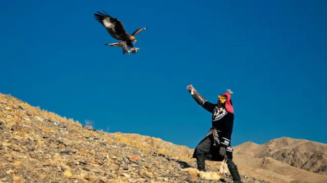 當地僅剩250名訓鷹人(圖片來源:Dave Stamboulis)