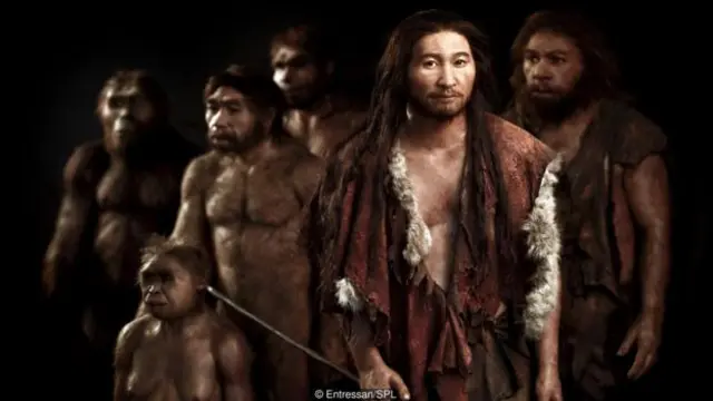 某種程度上,早期人類需要有東西蔽體(圖片來源:Entressan/SPL)