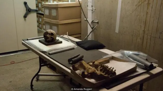 在倫敦博物館，等待進行X光檢測的成排骨骼。（圖片來源：Amanda Ruggeri）