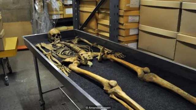 這位1348年死於黑死病的人，他的骨盆有綠色的痕跡，不過原因是他埋葬的地方所導致。（圖片來源：Amanda Ruggeri）