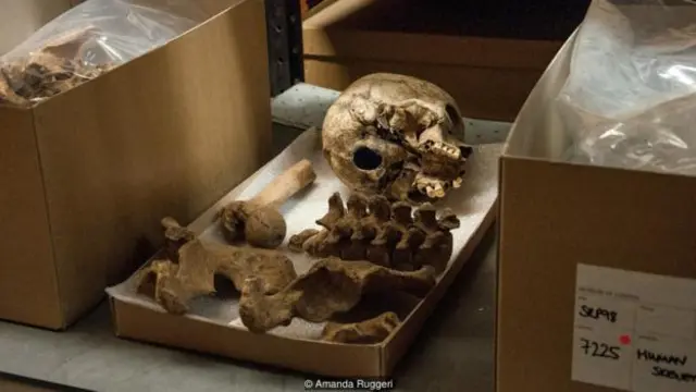 從盒子取出凖備用x光照射的骷髏。（圖片來源：Amanda Ruggeri）