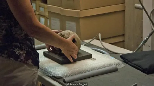 團隊的放射線檢測醫生仔細擺放人的頭骨，凖備進行x射線檢測。（圖片來源：Amanda Ruggeri）