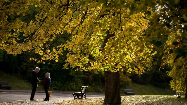 Нерідко так трапляється, що стосунки виявляються коротшими за життя