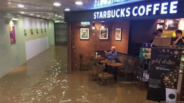 不少人都觉得照片很谐趣。