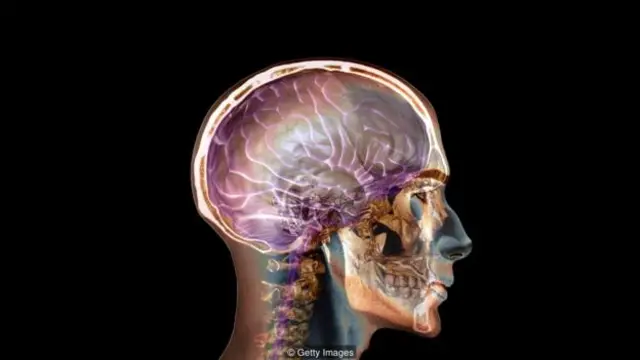 如今,對於現代人智力突飛猛進這一現象,基因轉變理論已經不能提供有效解釋。那麼,其中緣由又會是什麼呢?(圖片來源:Getty Images)