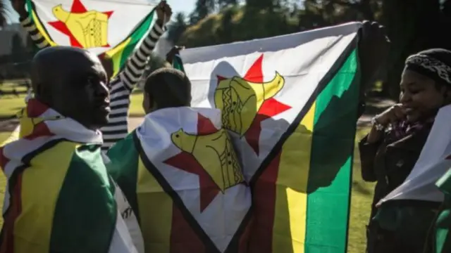 津巴布韦的反政府示威者在示威时使用国旗，并设立#国旗。 