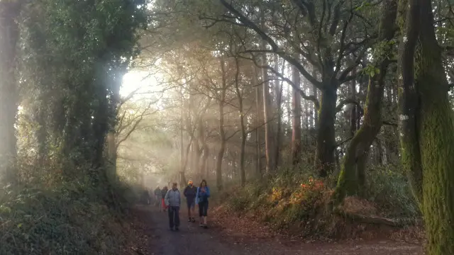 дорога святого якрова