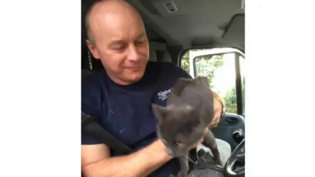 Кіт проїхав 72 км на даху фургона