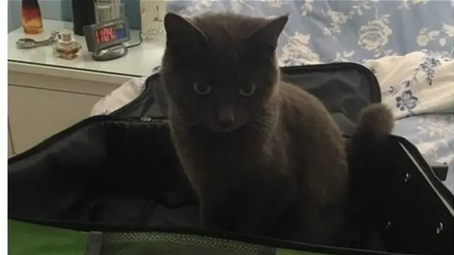 Пан Хейн каже, що Фло "засвоїла урок"