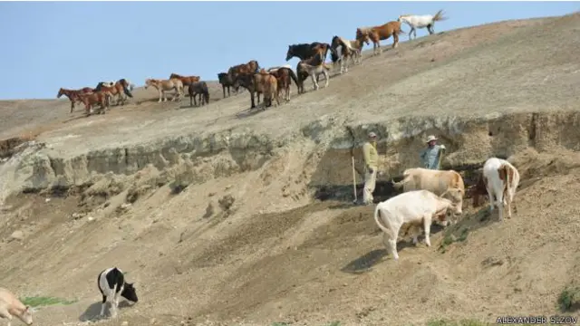 Кістки папуги виявили на сході Сибіру