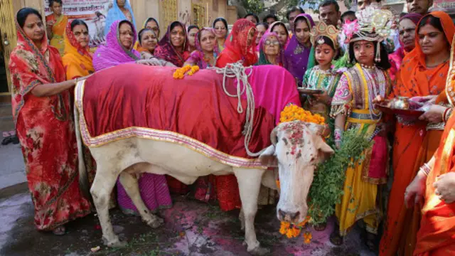印度有20多个邦禁止宰牛或吃牛肉，或者二者皆禁（图片来源：Getty Images）