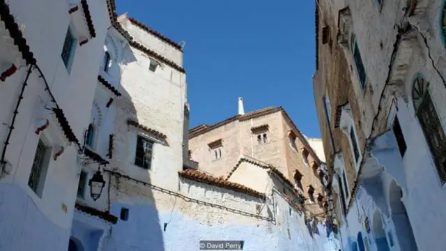 （图片来源：David Perry）