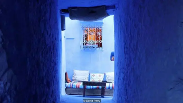 （图片来源：David Perry）