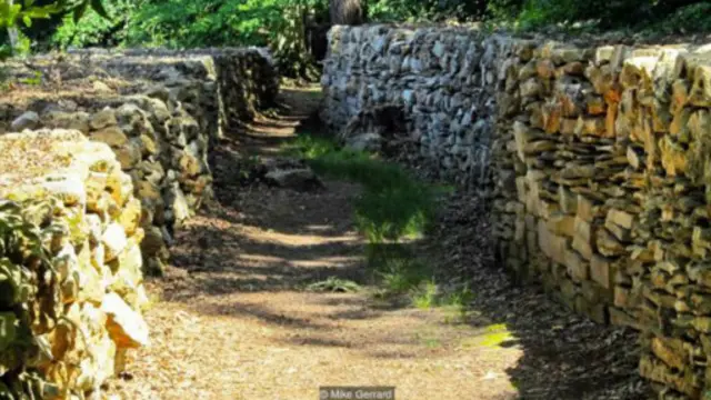 美国阿拉巴马州汤姆·亨德里克斯，泪水之路（图片来源：Mike Gerrard）