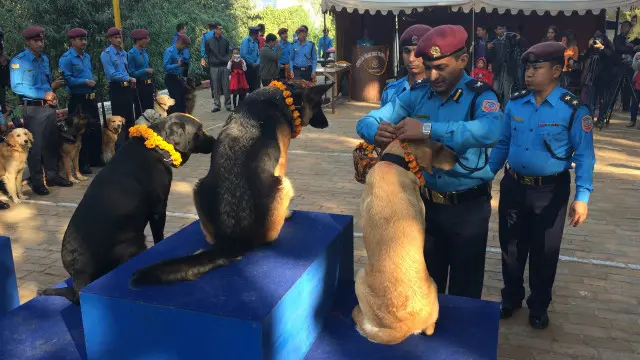नेपाल प्रहरीले विक्रम संवत २०२६ देखि कुकुरको प्रयोग गर्न थालेको हो